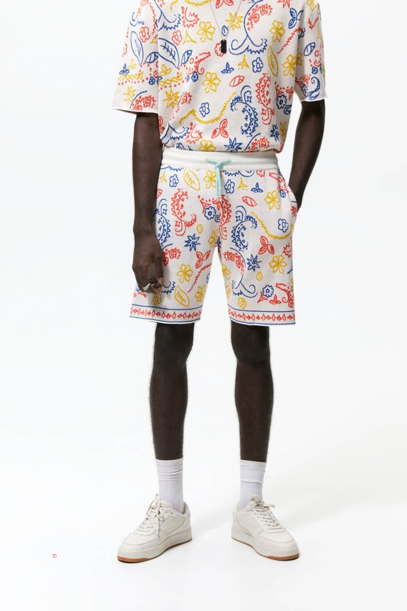 ZARA ABSTRACT JACQUARD KNIT BERMUDA Shorts Herr Vita | VHTBW-4873