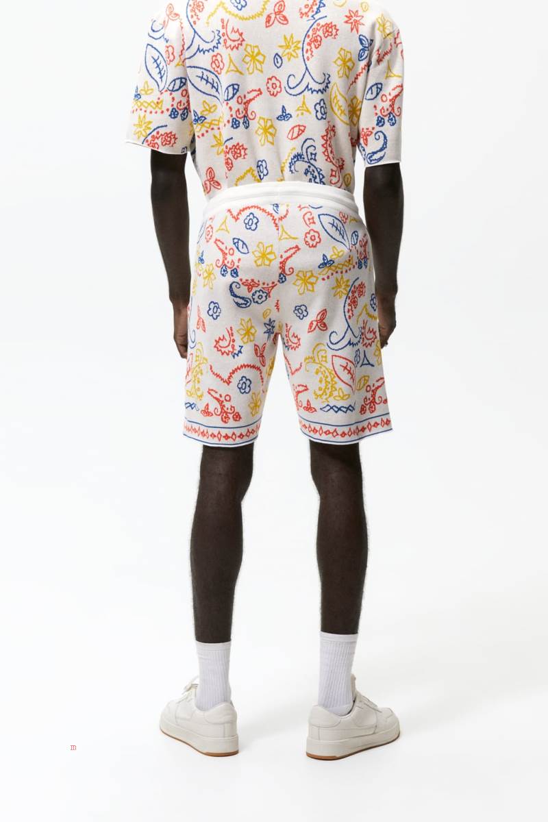 ZARA ABSTRACT JACQUARD KNIT BERMUDA Shorts Herr Vita | VHTBW-4873