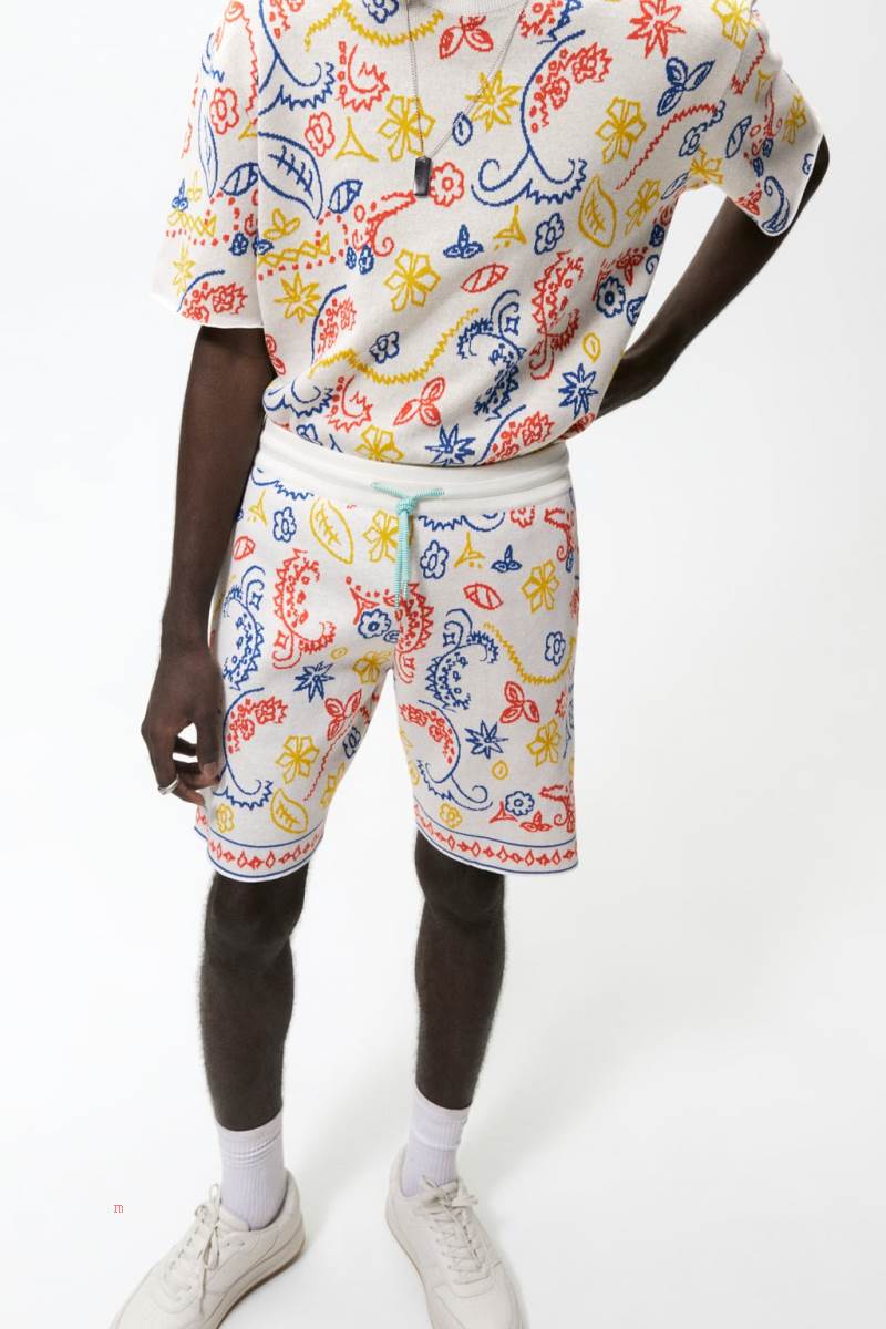 ZARA ABSTRACT JACQUARD KNIT BERMUDA Shorts Herr Vita | VHTBW-4873
