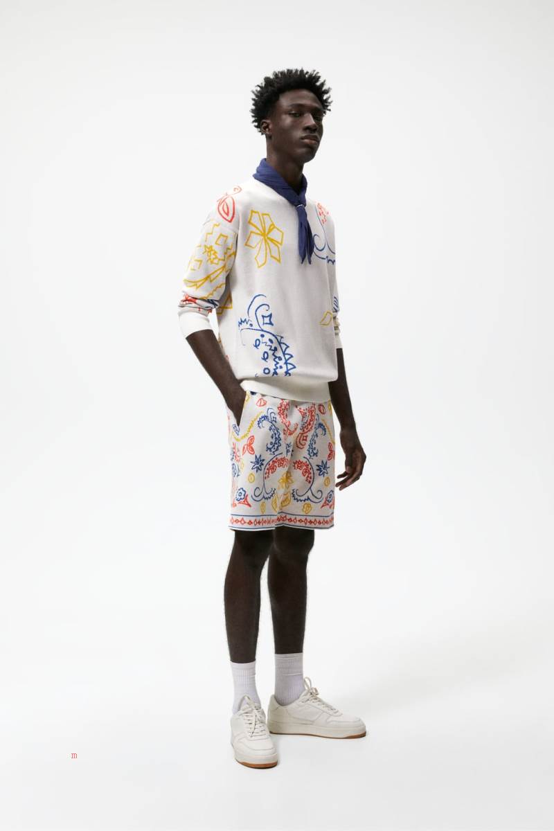 ZARA ABSTRACT JACQUARD Tröjor Herr Vita | MKCZP-9037