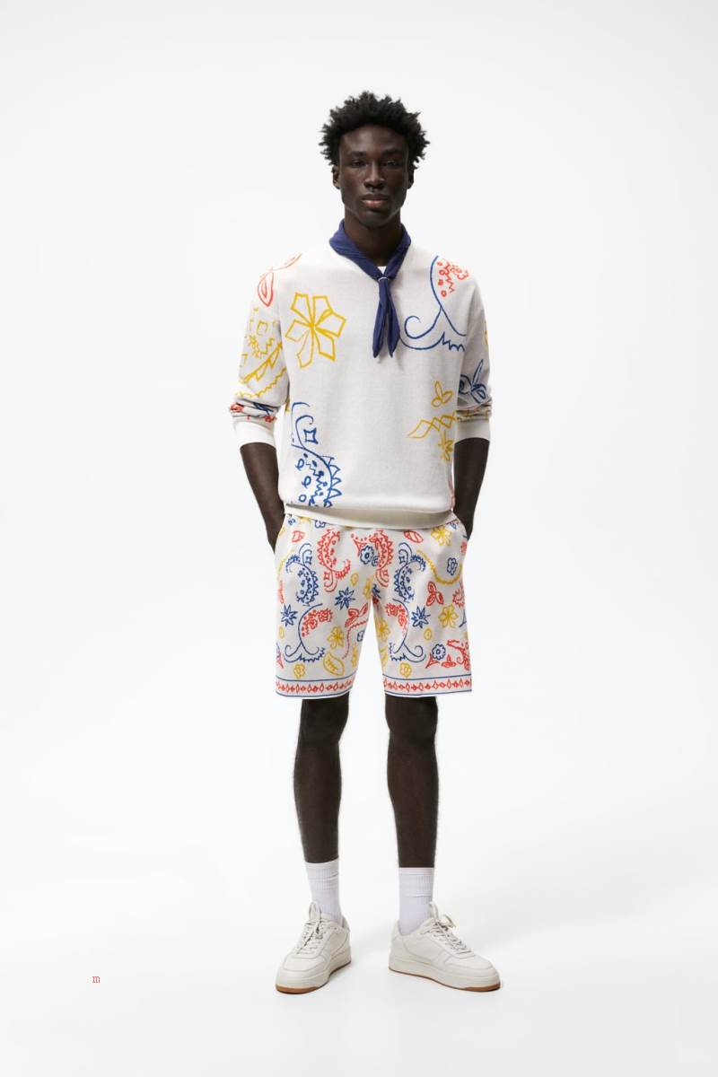 ZARA ABSTRACT JACQUARD Tröjor Herr Vita | MKCZP-9037
