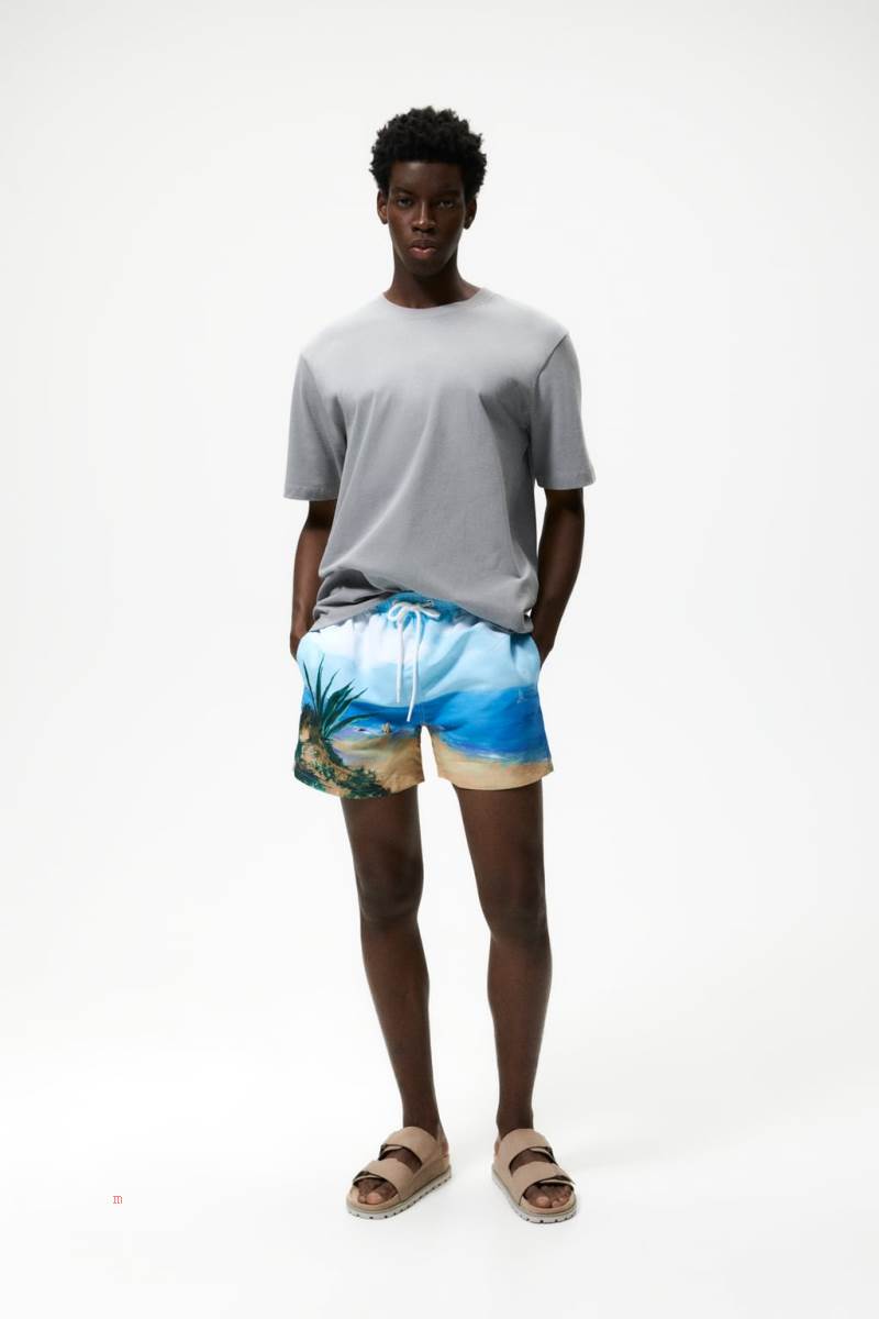ZARA ABSTRACT PRINT SWIMMING TRUNKS Badkläder Herr Blå | OIZHT-9564