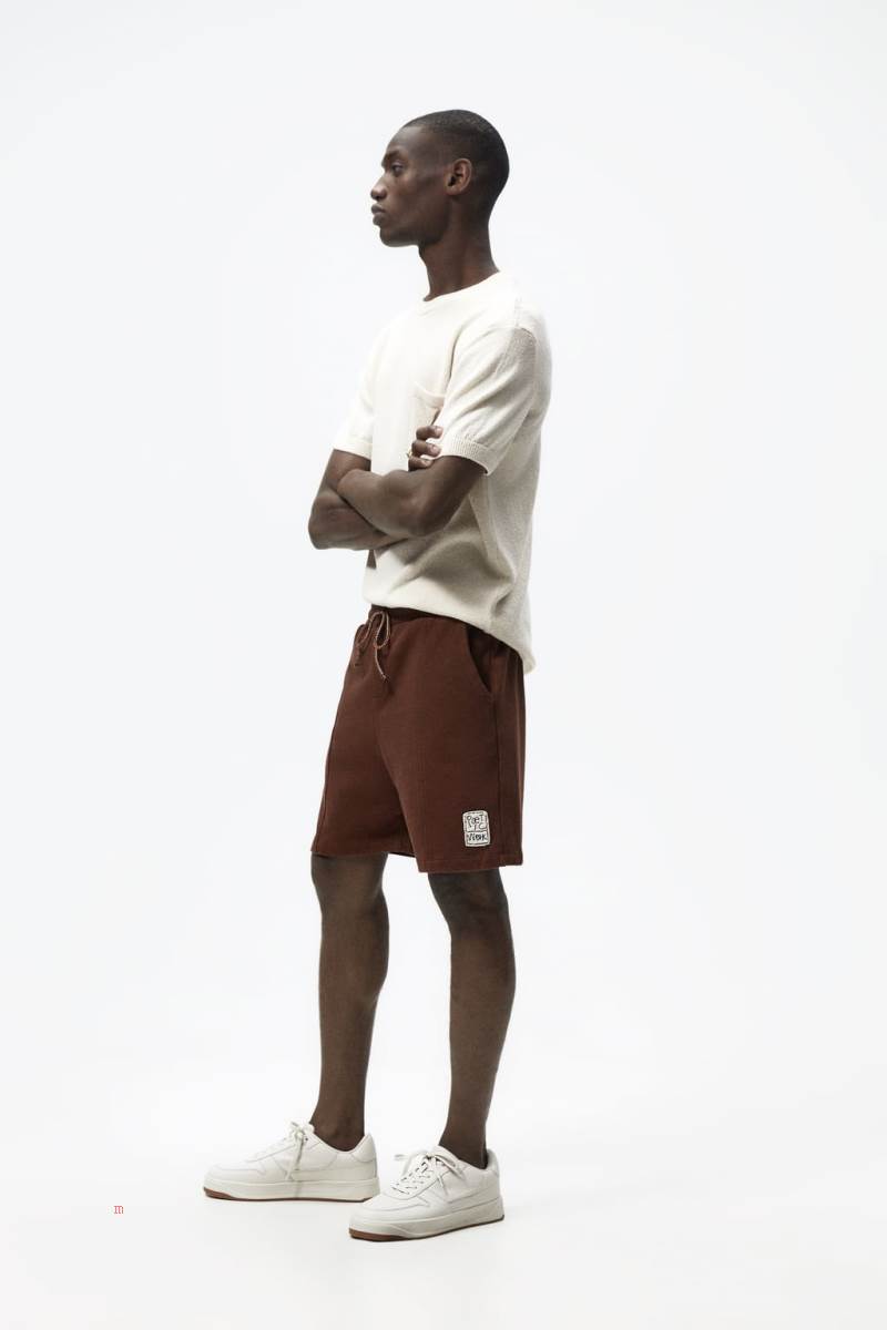 ZARA BERMUDA Shorts Herr Bruna | WKNPG-5129