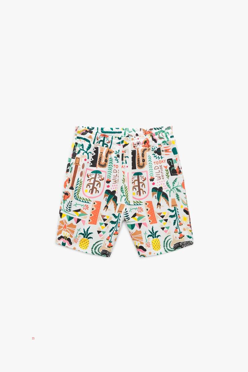 ZARA BERMUDA WITH PRINTED GRAPHICS Shorts Herr Vita | QDGEJ-3516