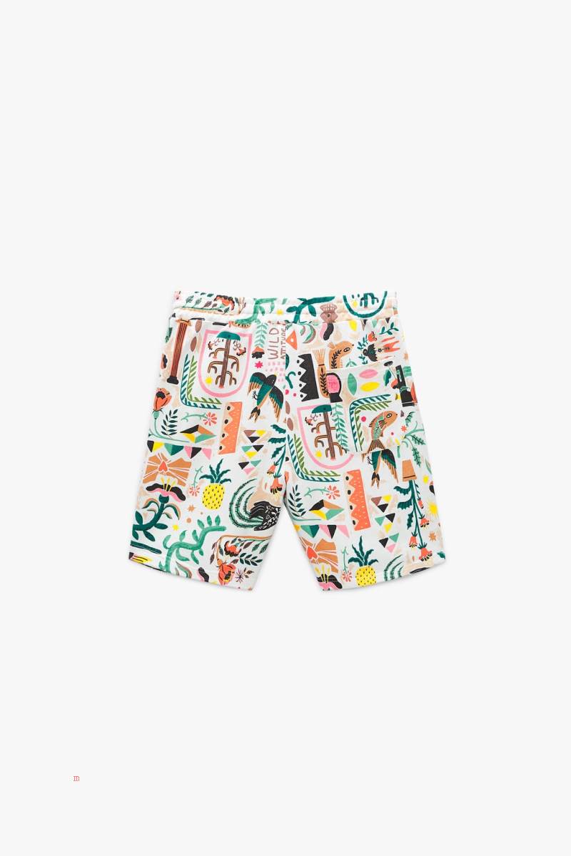 ZARA BERMUDA WITH PRINTED GRAPHICS Shorts Herr Vita | QDGEJ-3516