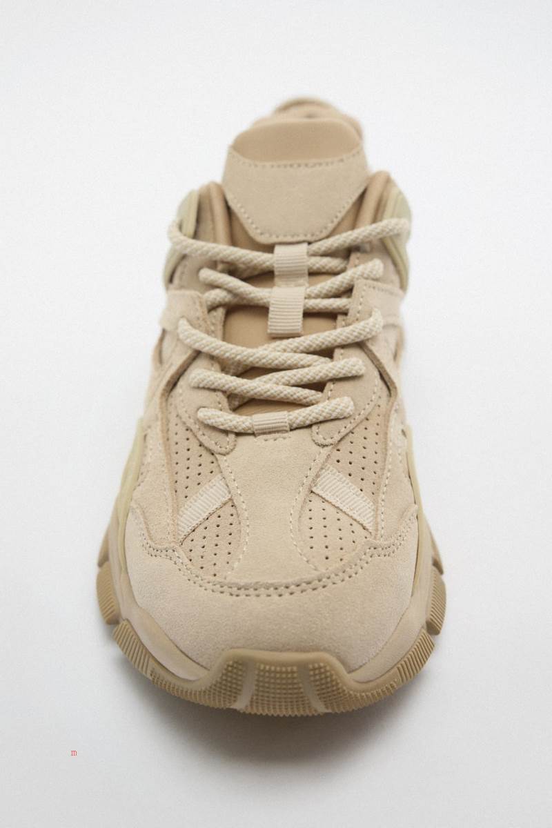 ZARA COMBINED RUNNING Träningsskor Dam Bruna | DFPOY-6970