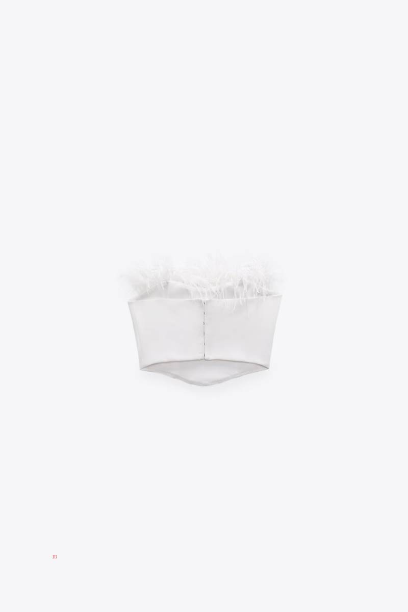 ZARA CORSETRY-INSPIRED TOP WITH FEATHERS Korsett Dam Vita | WRULB-2563