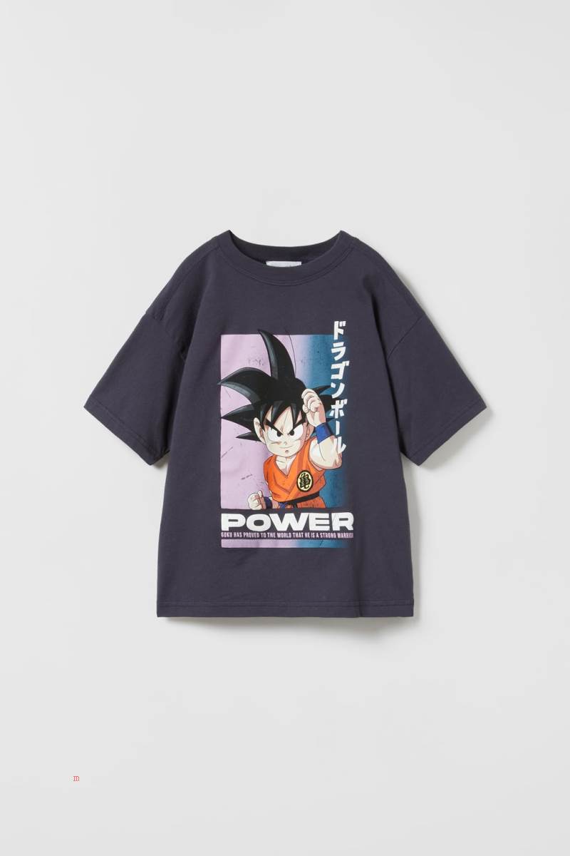 ZARA DRAGON BALL© T-shirt Pojke Blå Grå | QVAJU-2389