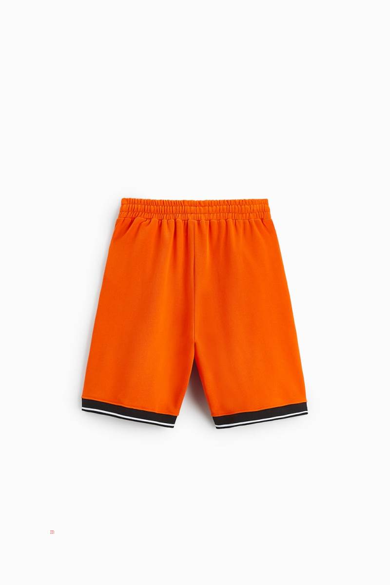 ZARA EMBROIDERED BASKETBALL BERMUDA Shorts Herr Orange | ACTKU-2957