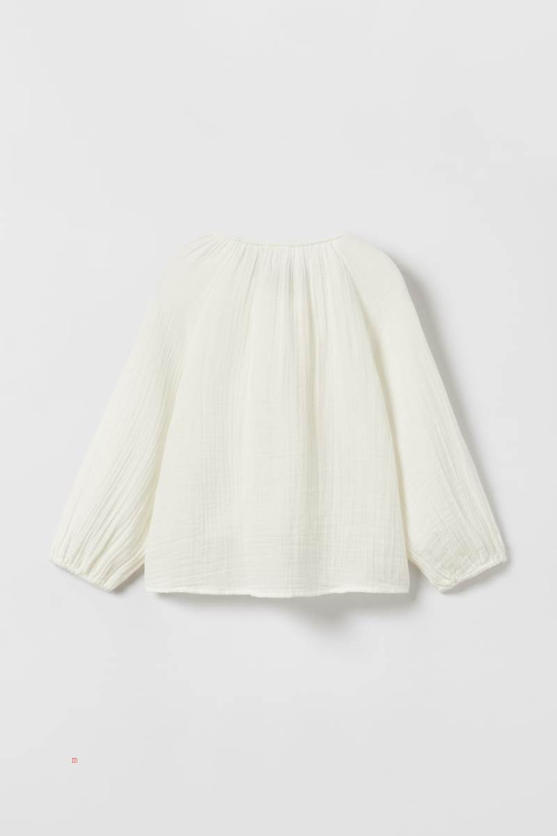 ZARA EMBROIDERED CREPE Blusar Tjej Grå Vita | QABLC-7485