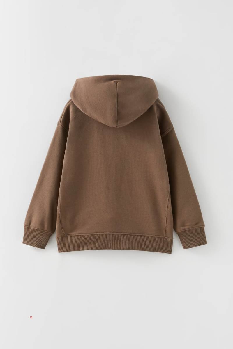ZARA EMBROIDERED Hoodie Pojke Bruna | DIZOS-8341