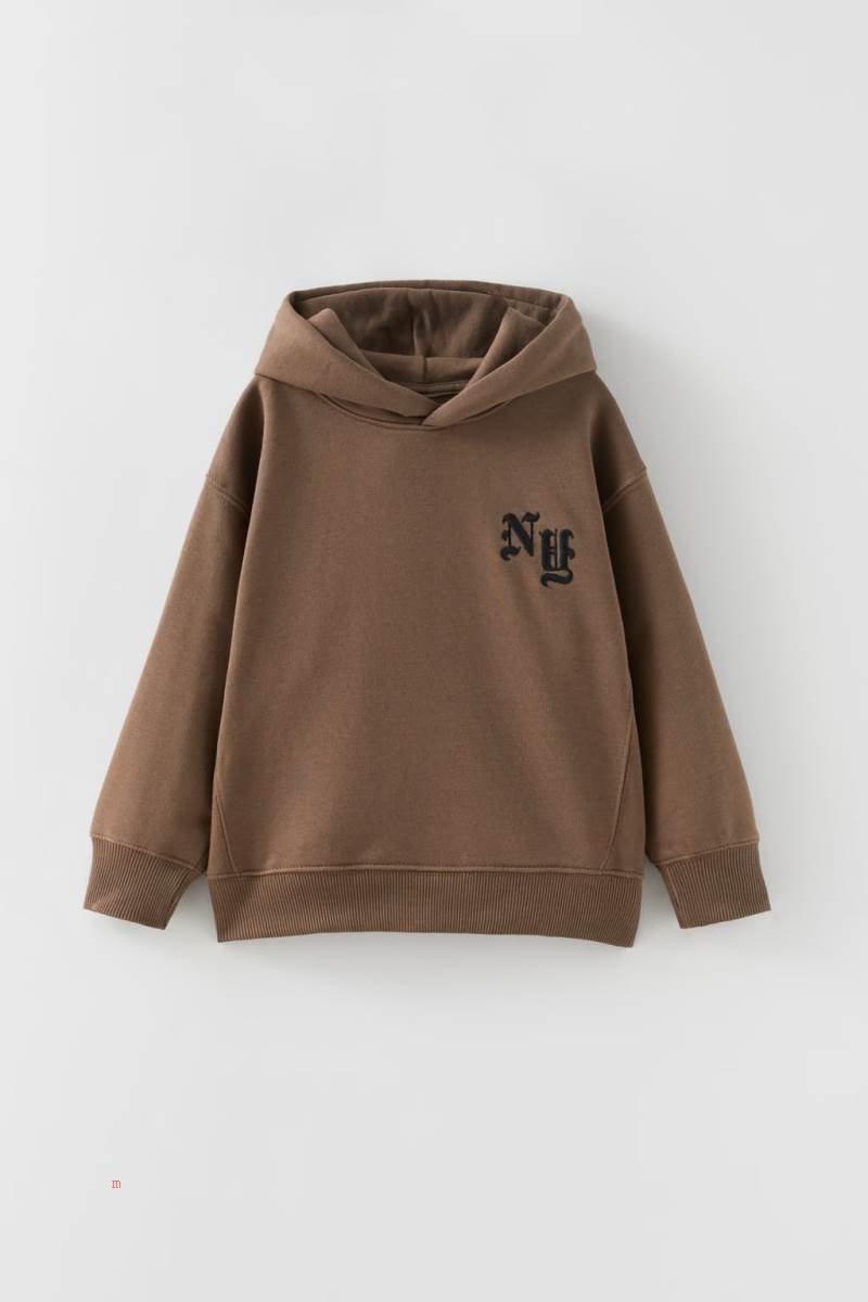 ZARA EMBROIDERED Hoodie Tjej Bruna | YRZJM-7346