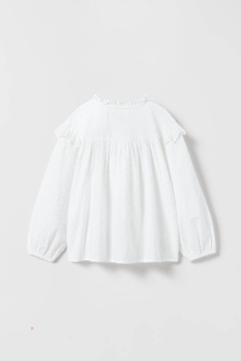 ZARA EMBROIDERED PLUMETIS Blusar Tjej Vita | YJFLI-0195