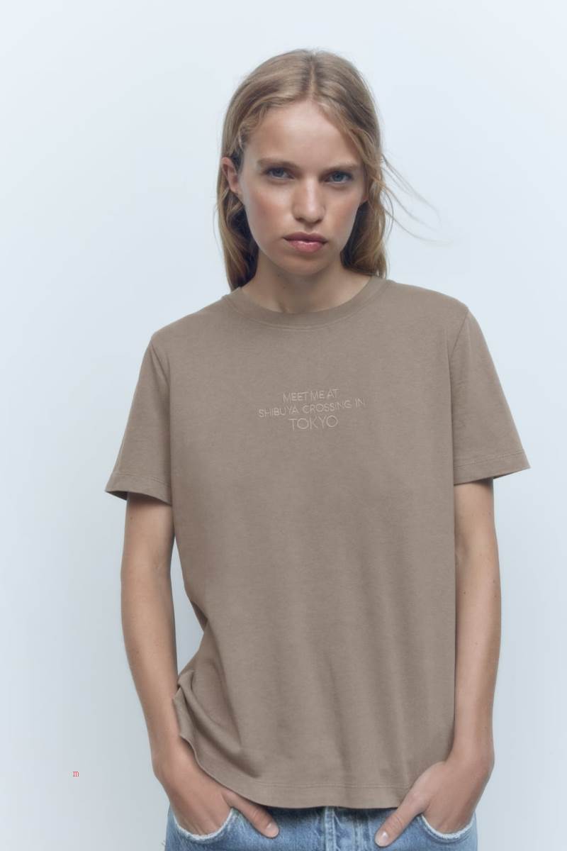ZARA EMBROIDERED SLOGAN T-shirt Dam Grå | MNDZG-6527