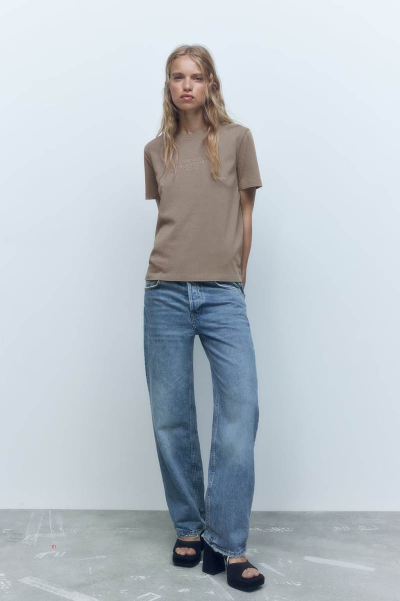ZARA EMBROIDERED SLOGAN T-shirt Dam Grå | MNDZG-6527