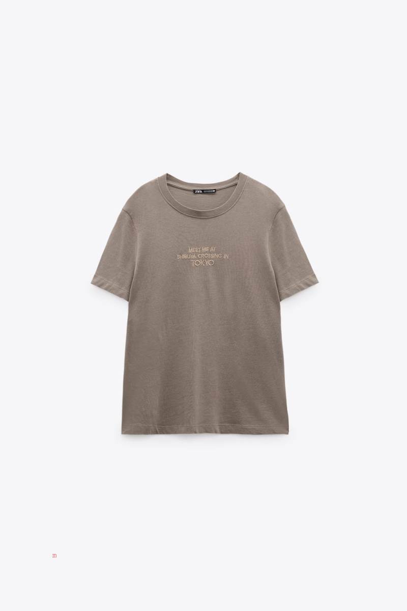 ZARA EMBROIDERED SLOGAN T-shirt Dam Grå | MNDZG-6527