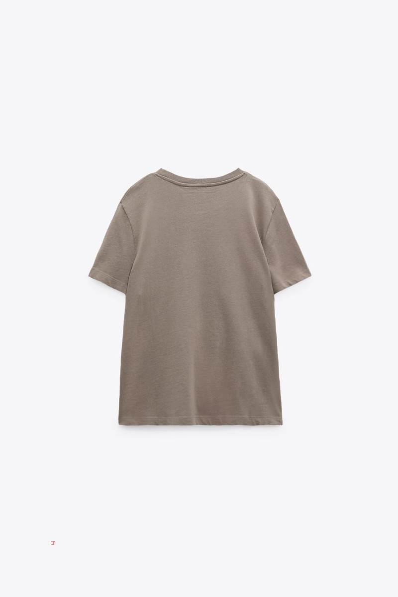 ZARA EMBROIDERED SLOGAN T-shirt Dam Grå | MNDZG-6527