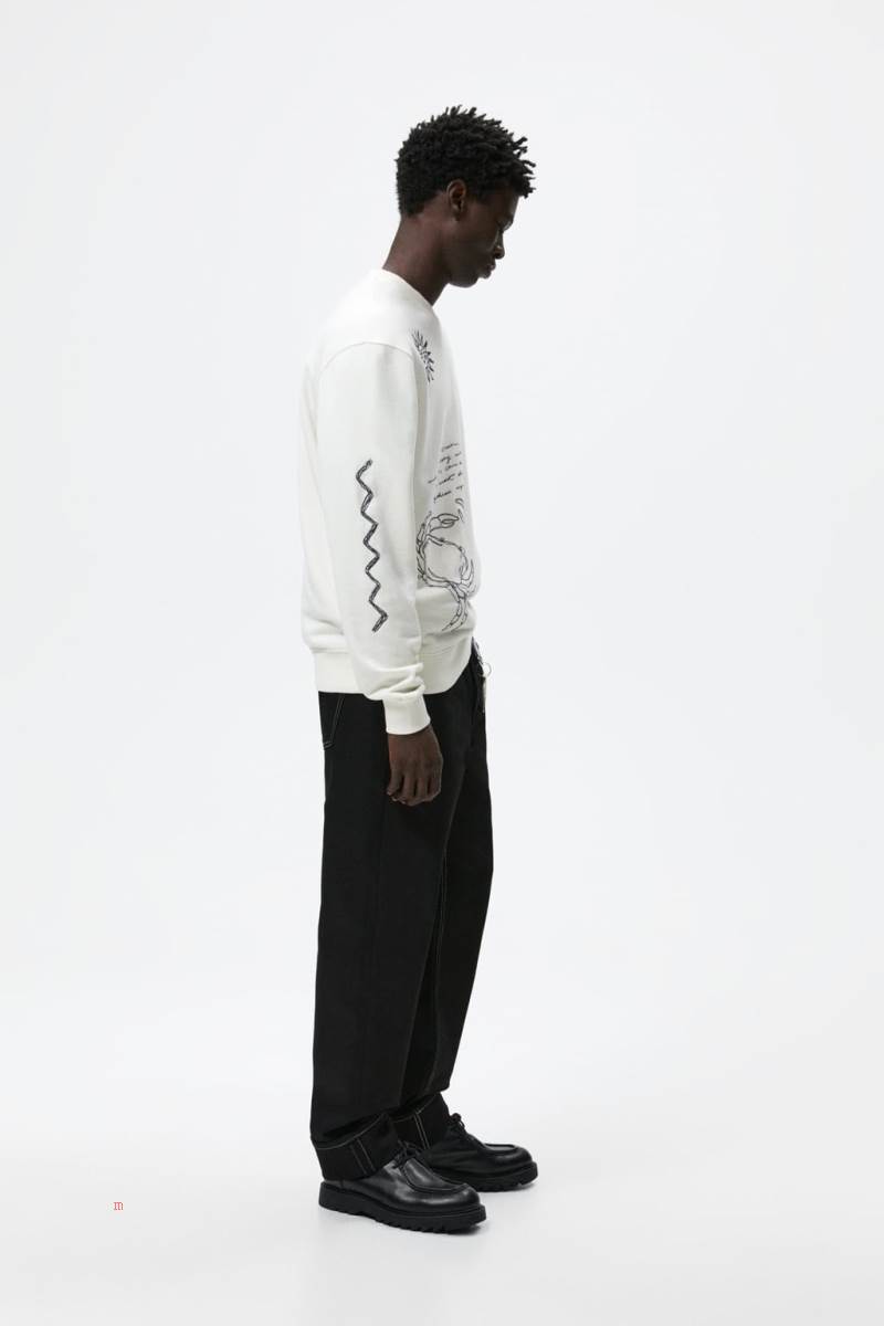 ZARA EMBROIDERED TAROT Sweatshirt Herr Grå Vita | WAMVG-6039