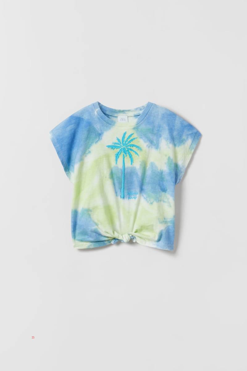 ZARA EMBROIDERED TIE-DYE T-shirt Tjej Blå Gröna | HUZFN-2193