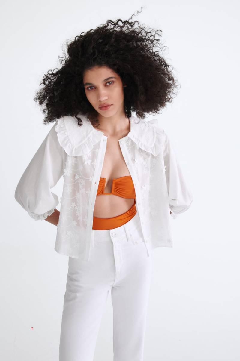 ZARA EMBROIDERED WITH PETER PAN COLLAR Blusar Dam Vita | RKQBW-7431