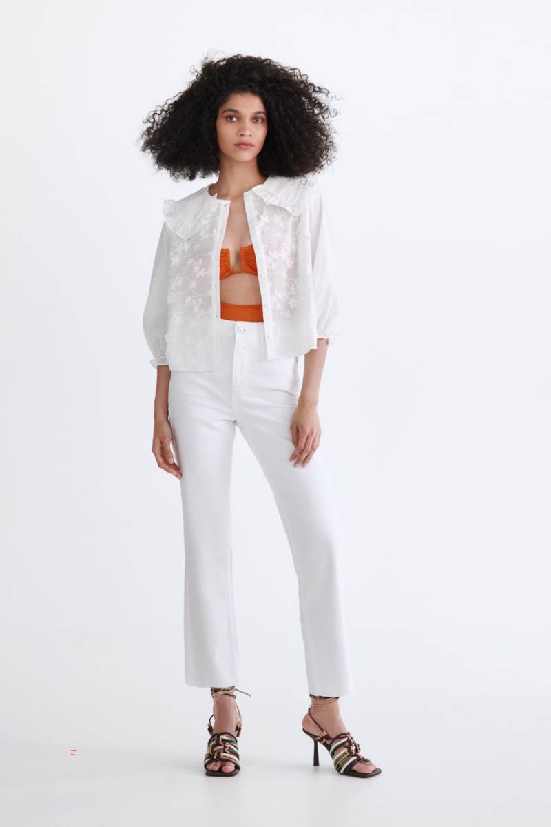 ZARA EMBROIDERED WITH PETER PAN COLLAR Blusar Dam Vita | RKQBW-7431