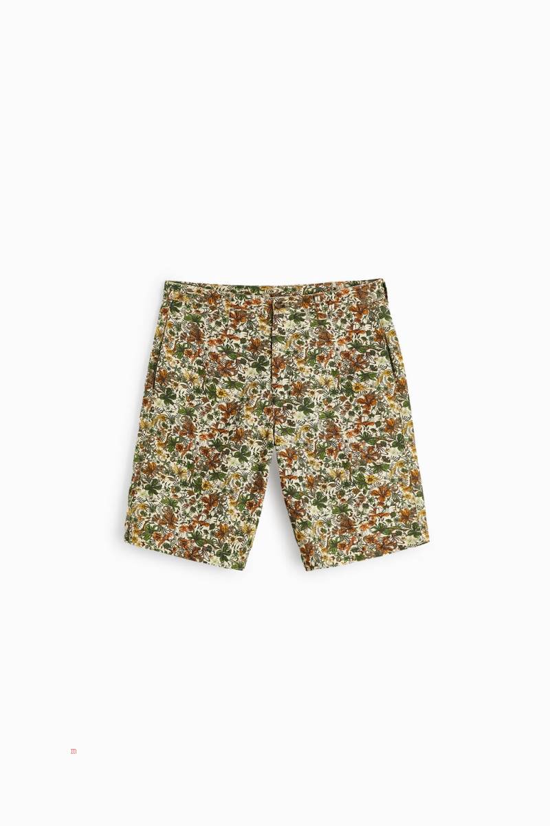 ZARA FLORAL PRINT BERMUDA Shorts Herr Beige | GKAYR-8362
