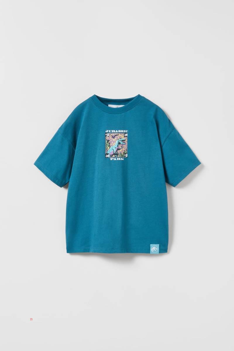 ZARA JURASSIC PARK TM & © UNIVERSAL STUDIOS LLC T-shirt Pojke Blå | CGXVF-9781