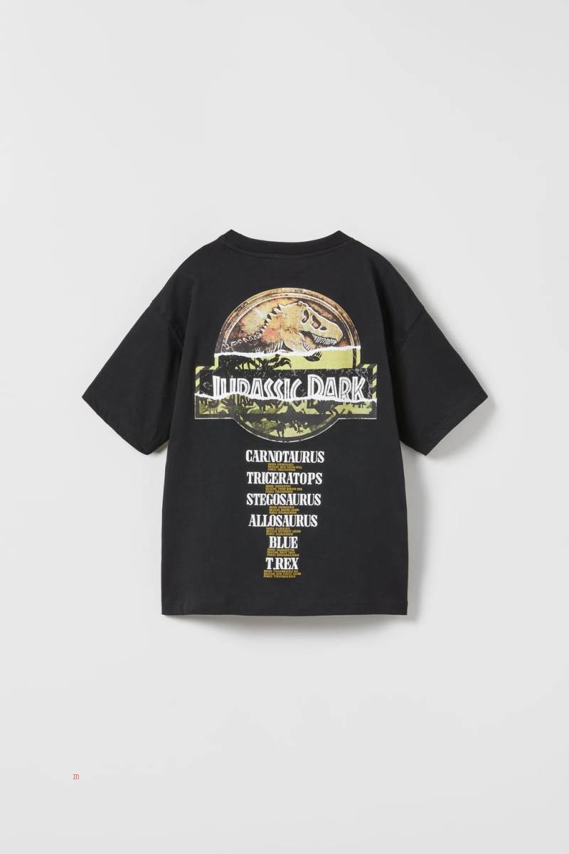 ZARA JURASSIC PARK TM & © UNIVERSAL STUDIOS LLC T-shirt Pojke Svarta | ZPIMU-9283