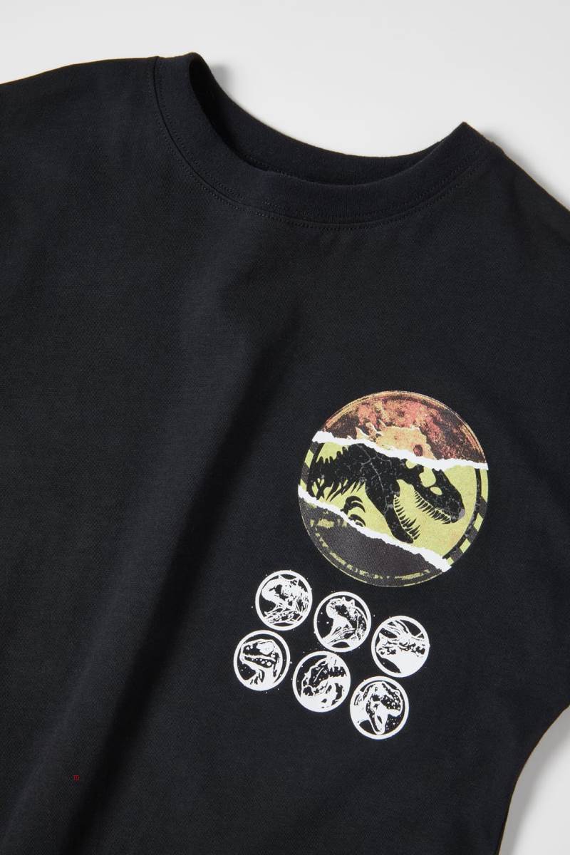 ZARA JURASSIC PARK TM & © UNIVERSAL STUDIOS LLC T-shirt Pojke Svarta | ZPIMU-9283