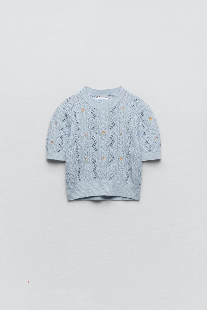 ZARA KNIT TOP WITH FLORAL EMBROIDERY Stickat Dam Ljusblå | BZVMY-9651