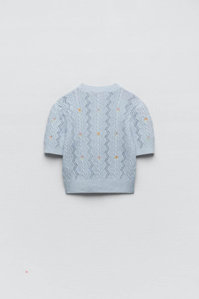 ZARA KNIT TOP WITH FLORAL EMBROIDERY Stickat Dam Ljusblå | BZVMY-9651