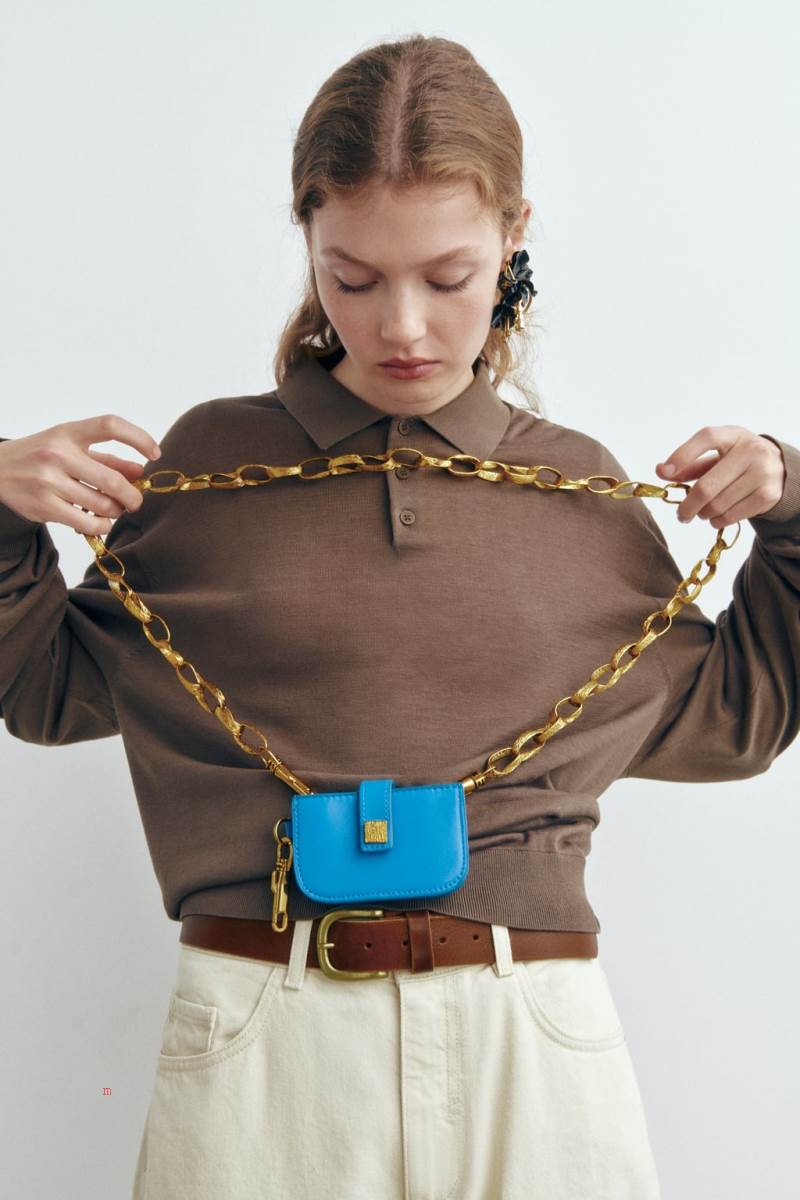 ZARA LEATHER CARD HOLDER Läderväska Dam Blå | MCUAH-5816