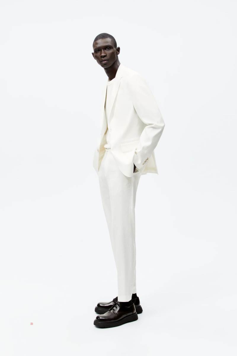 ZARA LINEN BLEND SUIT Blazers Herr Vita | VBZAU-4705