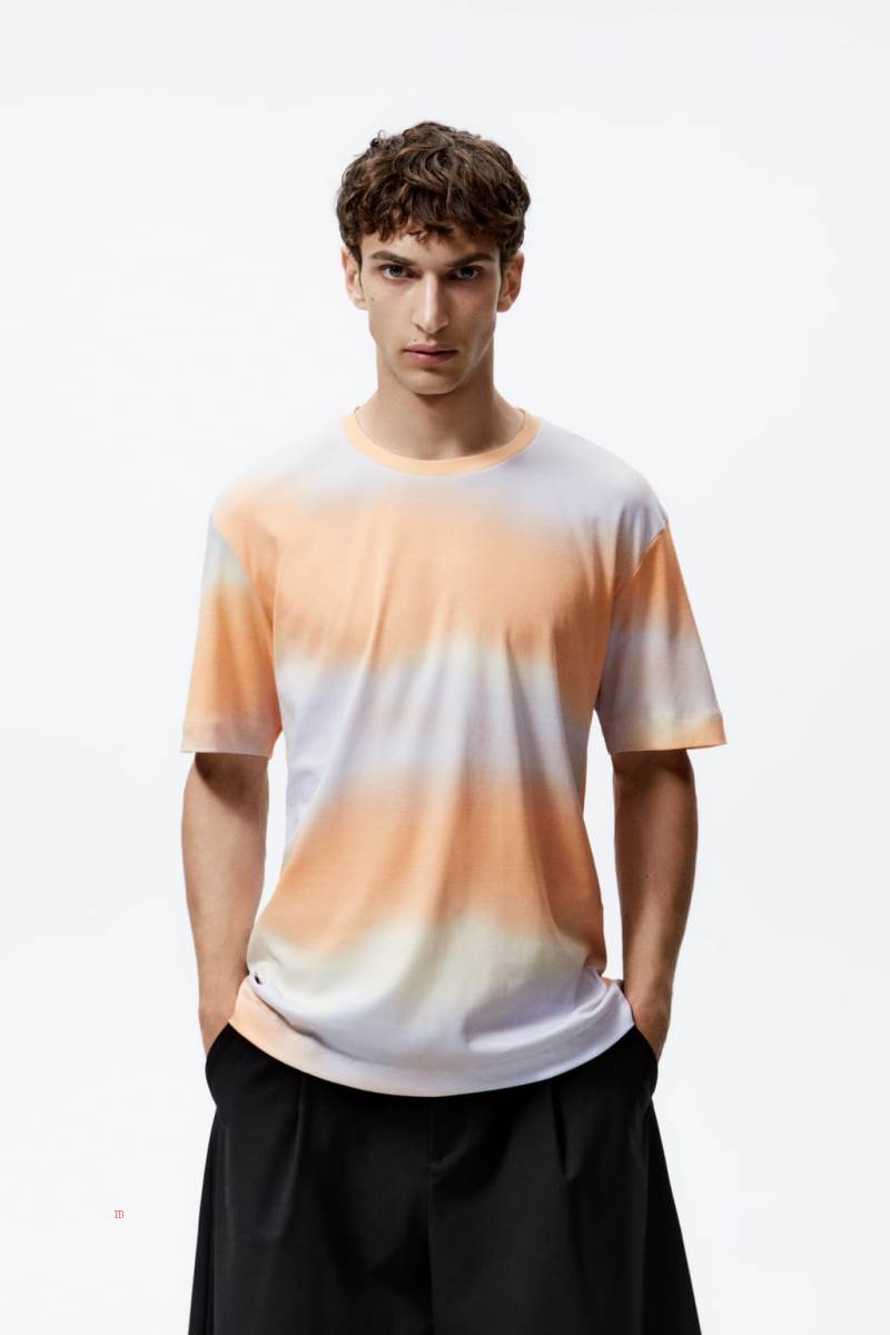 ZARA OMBRÉ PRINT T-shirt Herr Bruna | WCURI-8723