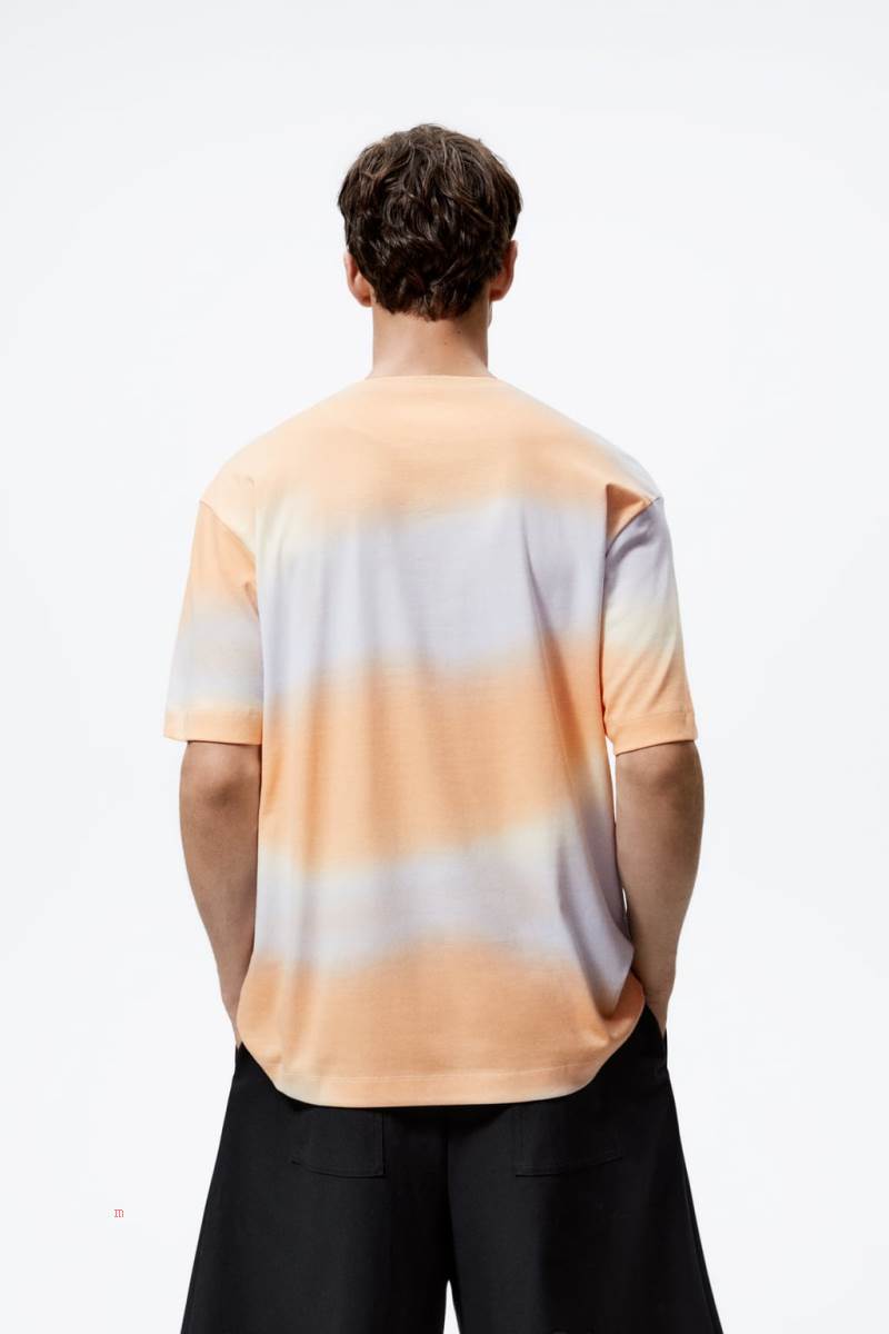ZARA OMBRÉ PRINT T-shirt Herr Bruna | WCURI-8723