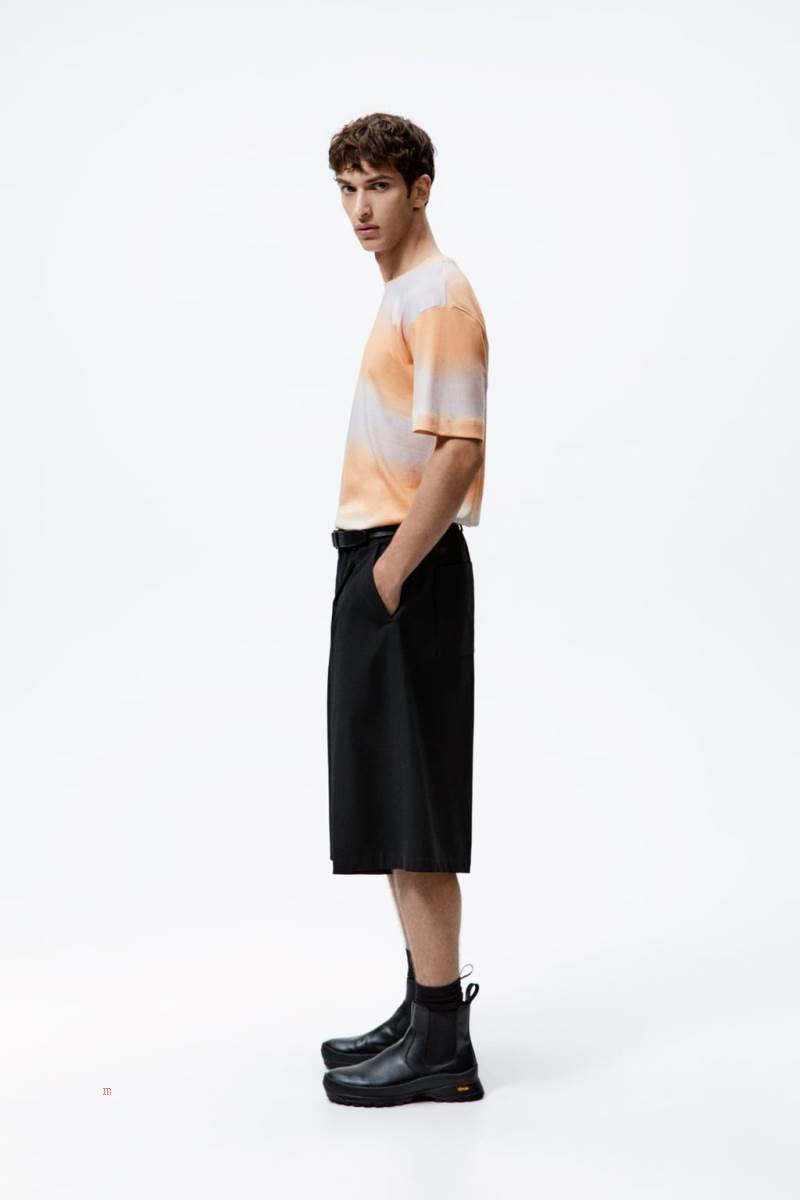 ZARA OMBRÉ PRINT T-shirt Herr Bruna | WCURI-8723