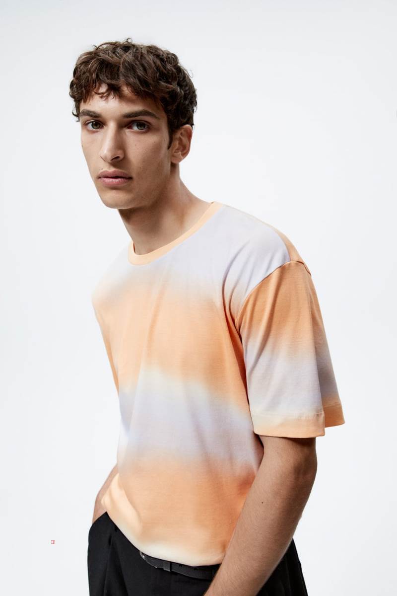 ZARA OMBRÉ PRINT T-shirt Herr Bruna | WCURI-8723