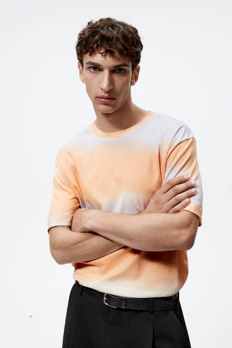 ZARA OMBRÉ PRINT T-shirt Herr Bruna | WCURI-8723