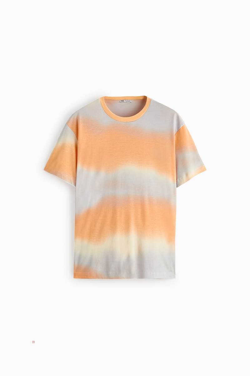 ZARA OMBRÉ PRINT T-shirt Herr Bruna | WCURI-8723