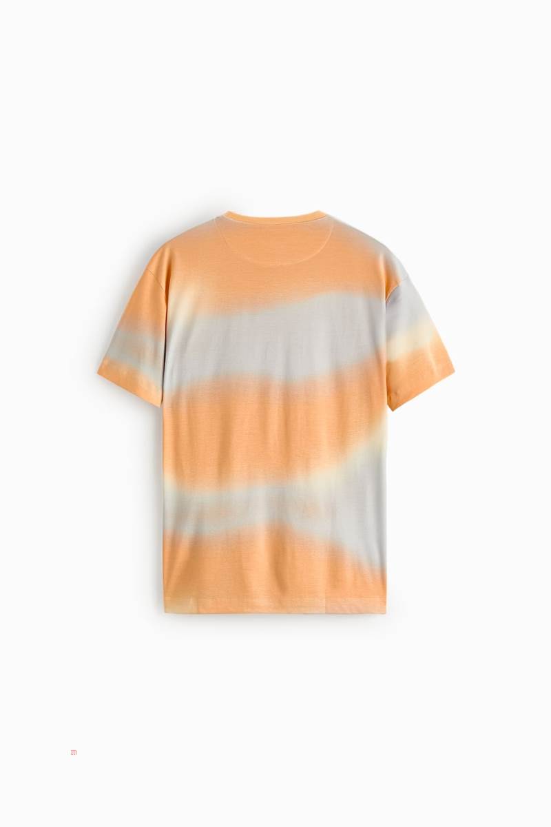 ZARA OMBRÉ PRINT T-shirt Herr Bruna | WCURI-8723