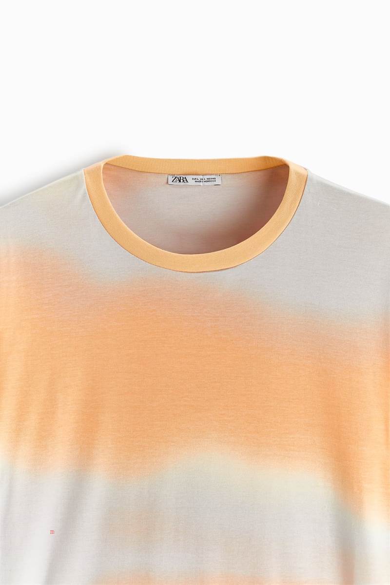 ZARA OMBRÉ PRINT T-shirt Herr Bruna | WCURI-8723