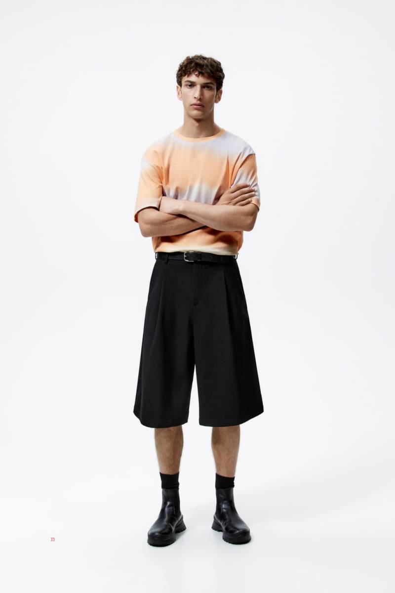 ZARA OMBRÉ PRINT T-shirt Herr Bruna | WCURI-8723
