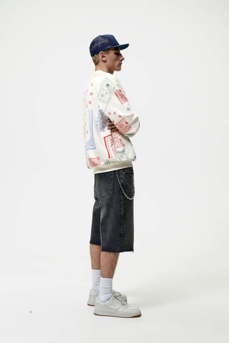 ZARA PAISLEY PRINT Hoodie Herr Vita | UPRYJ-8379