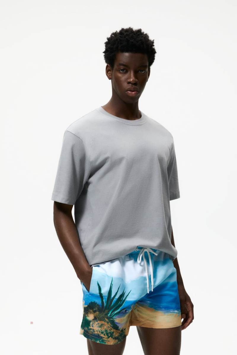 ZARA PHOTOGRAPHIC PRINT SWIMMING TRUNKS Badkläder Herr Bruna | CFJUN-7596