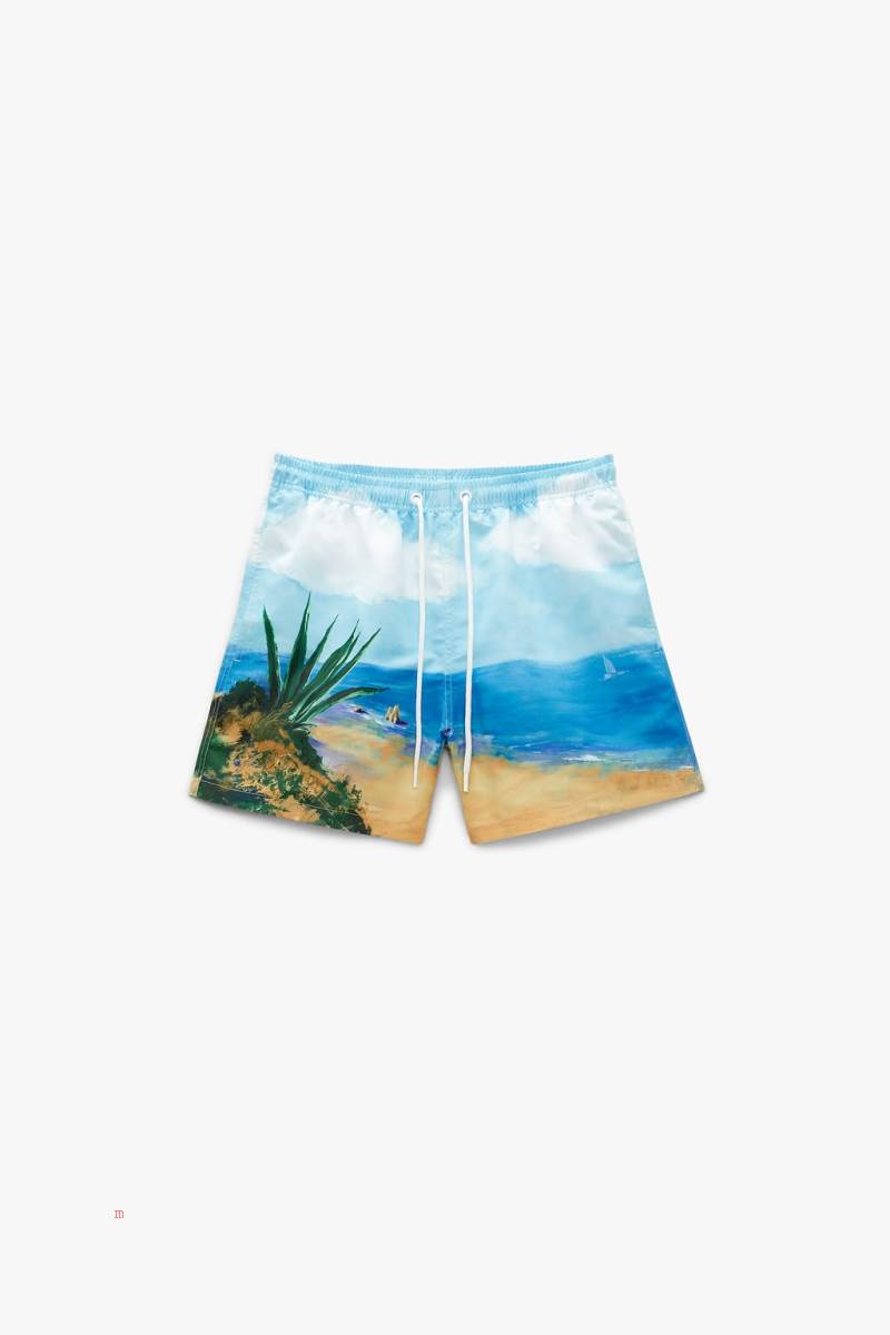 ZARA PHOTOGRAPHIC PRINT SWIMMING TRUNKS Badkläder Herr Bruna | HRXZO-1526