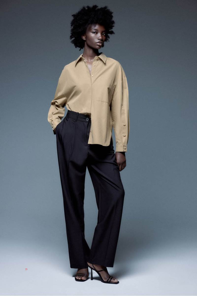 ZARA POPLIN WITH BUTTONED SLEEVES Skjorta Dam Bruna | TNIYE-7052