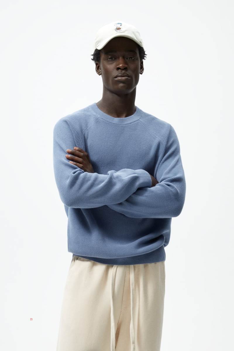 ZARA PURL KNIT Tröjor Herr Blå | BZSCQ-6189