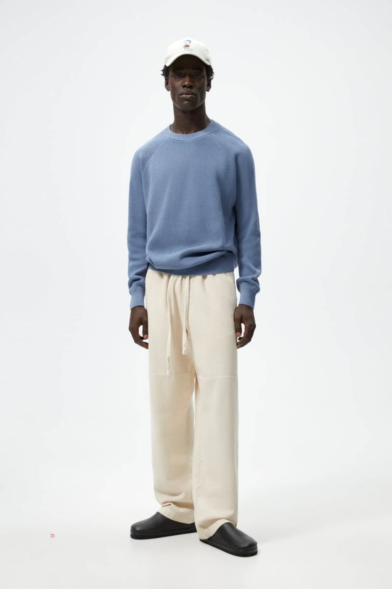 ZARA PURL KNIT Tröjor Herr Blå | BZSCQ-6189
