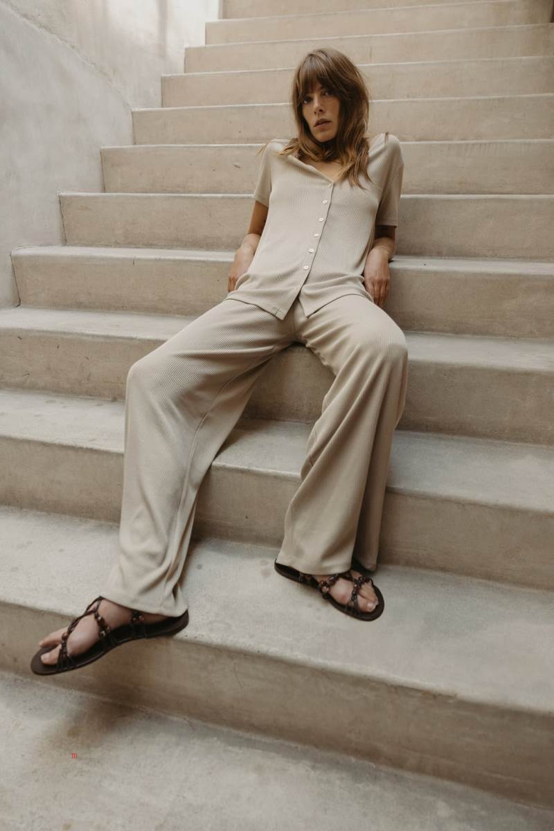 ZARA RIBBED WITH BUTTONS T-shirt Dam Bruna | IHQSW-3524