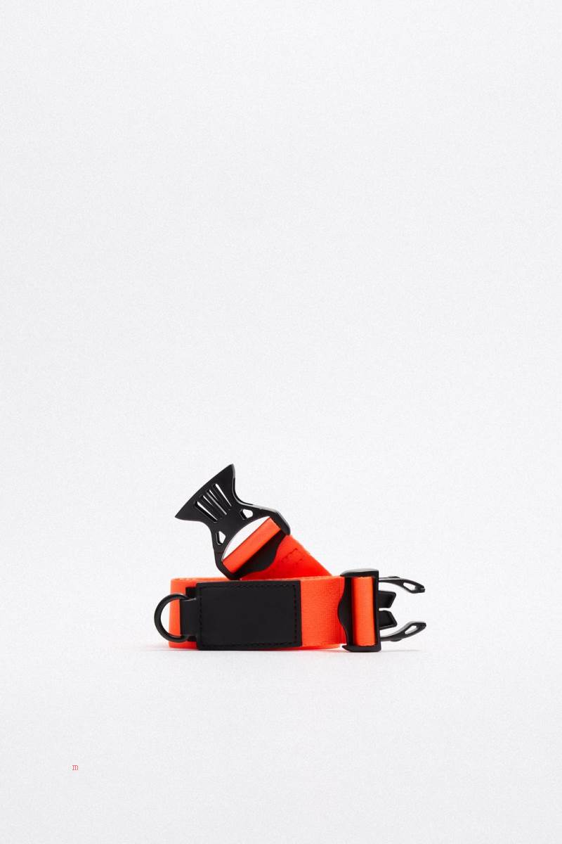 ZARA RIGID CARRY-ON Resväskor Herr Silver | FOLGQ-5374